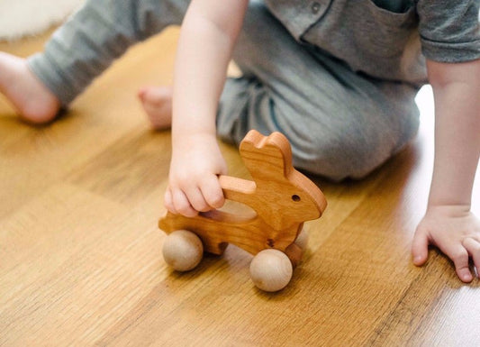 Bunny Push Toy Bannor Toys