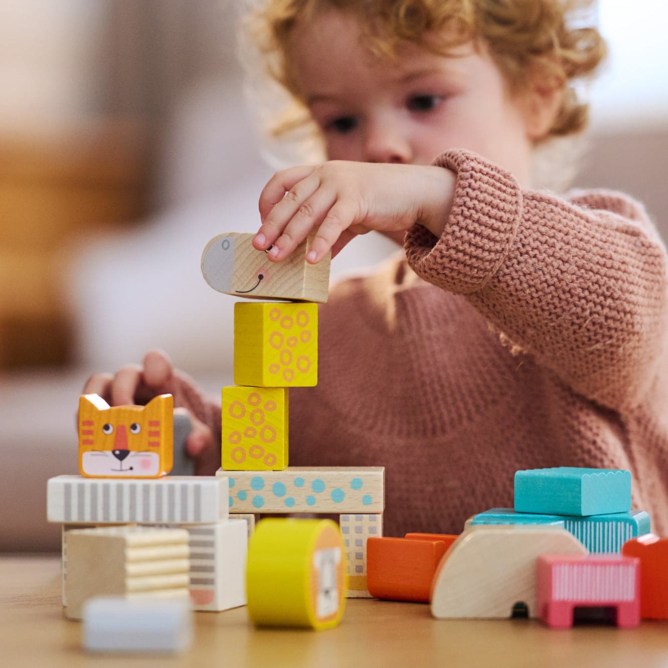 Animal Parade Blocks HABA USA