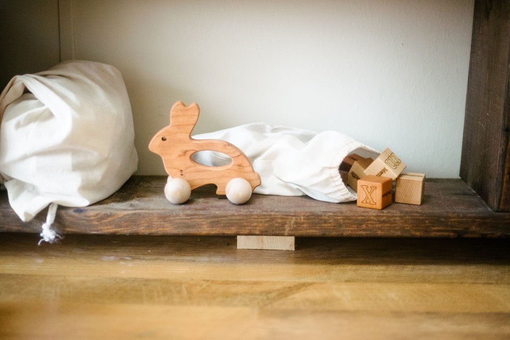 Bunny Push Toy Bannor Toys