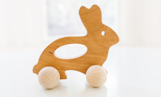 Bunny Push Toy Bannor Toys