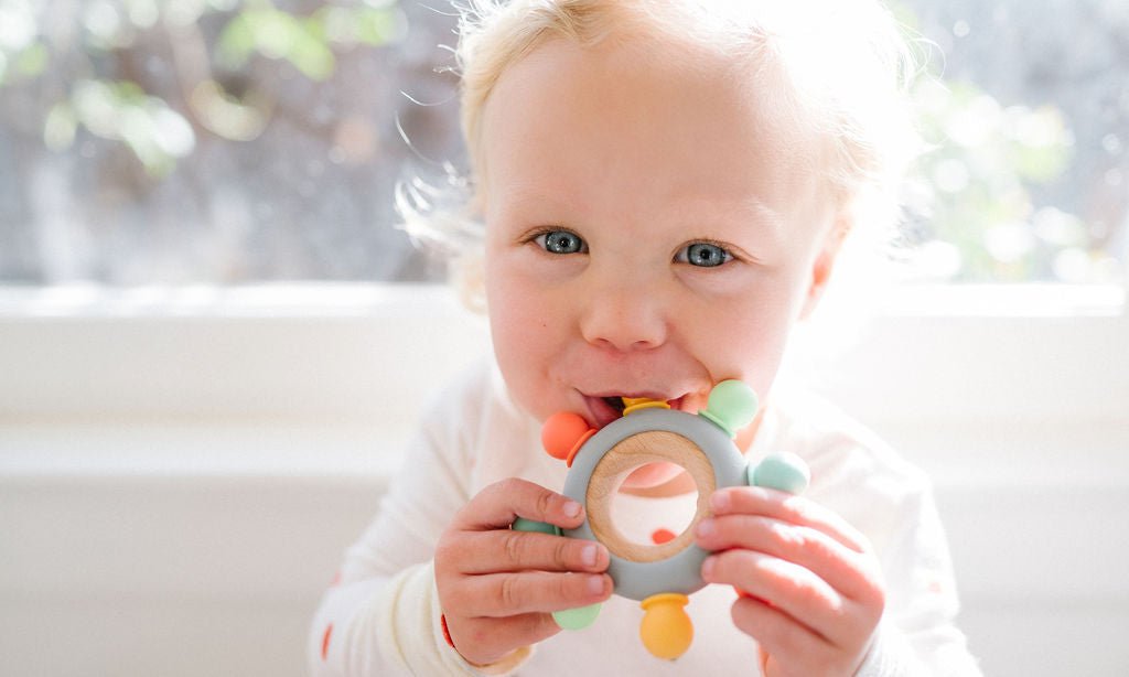 Captains Teether Bannor Toys