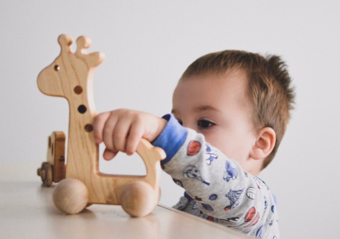 Giraffe Push Toy Bannor Toys