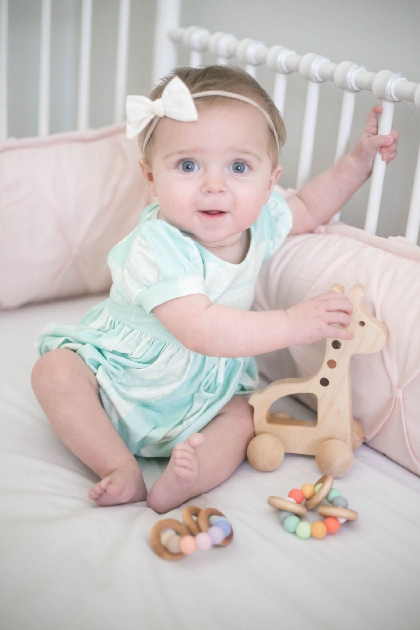 Giraffe Push Toy Bannor Toys