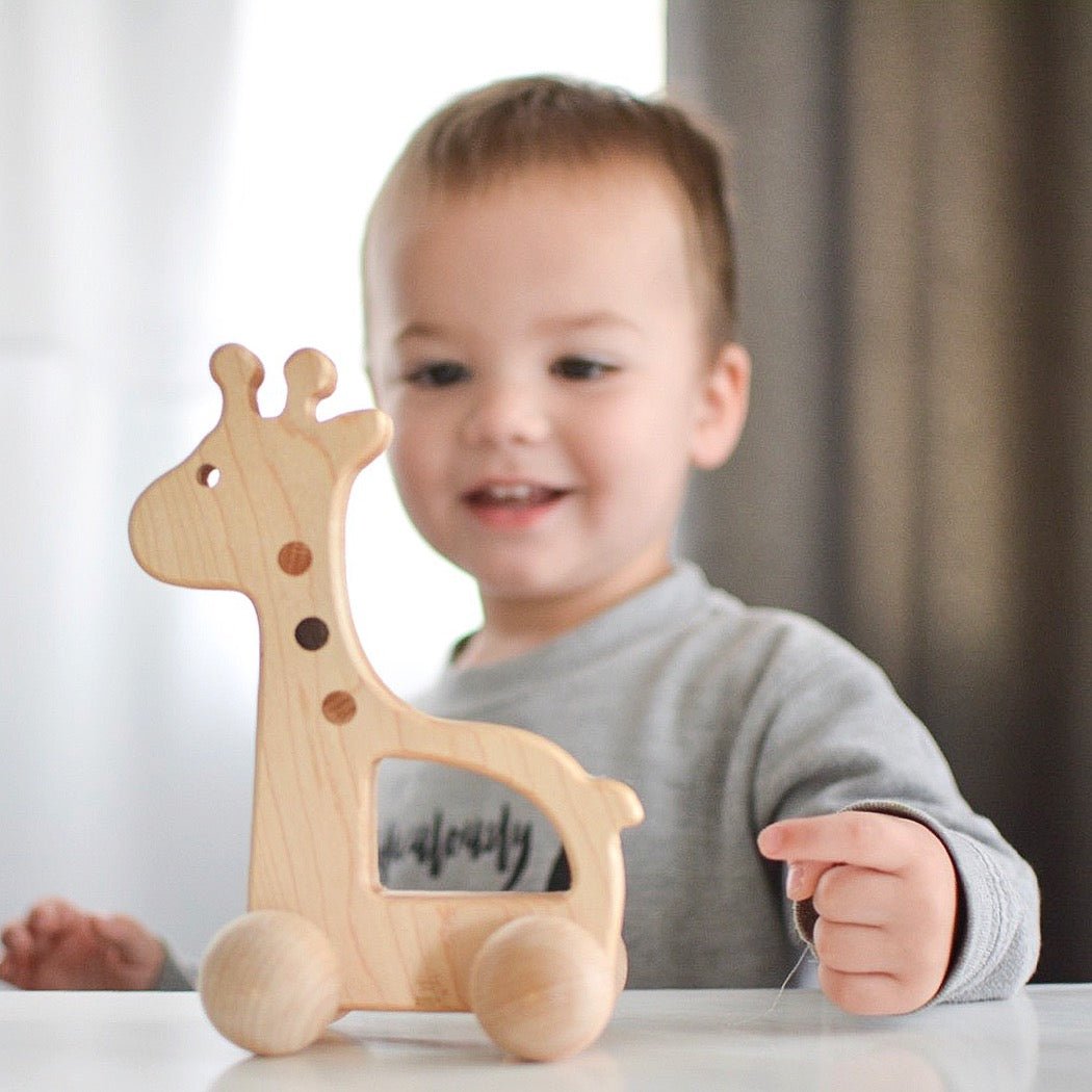 Giraffe Push Toy Bannor Toys
