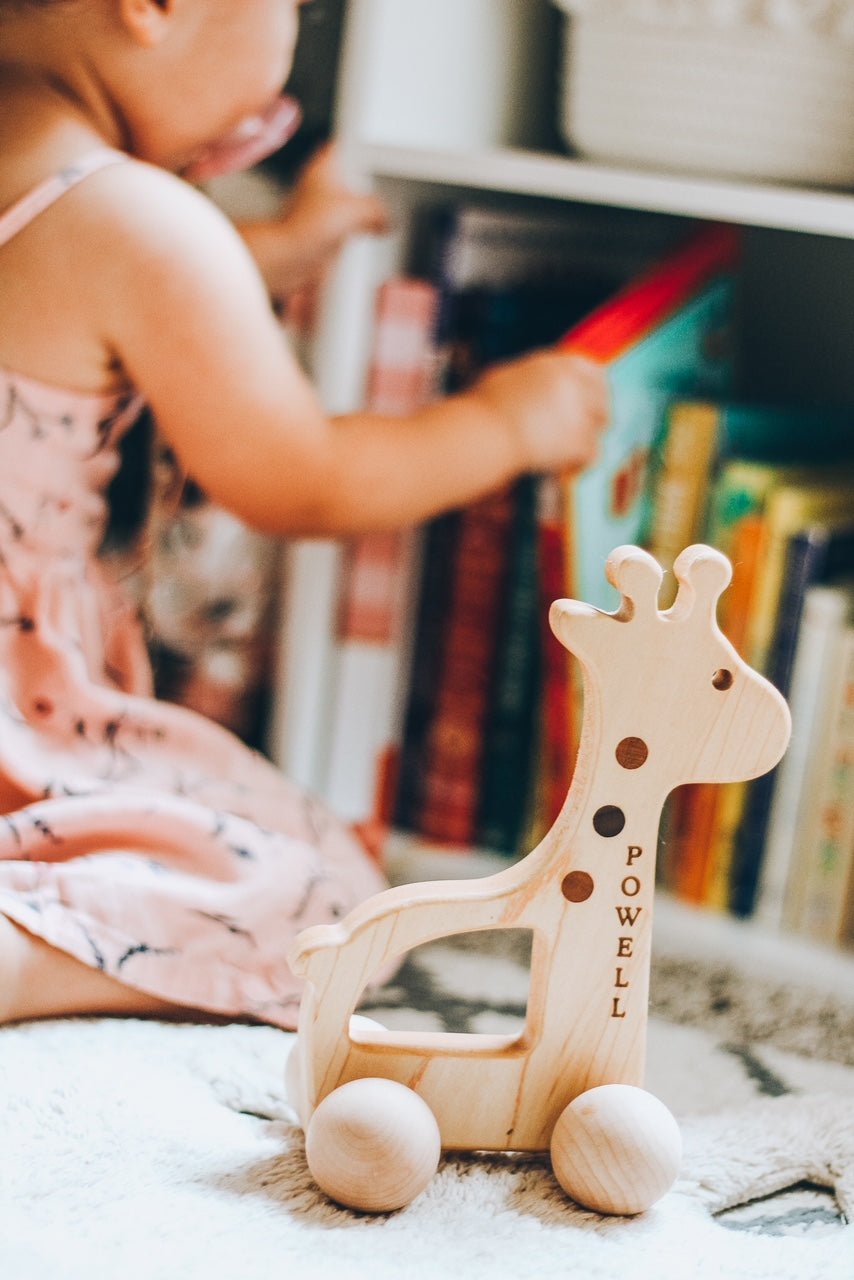 Giraffe Push Toy Bannor Toys