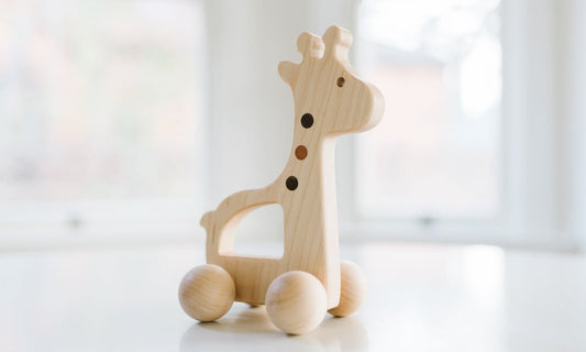 Giraffe Push Toy Bannor Toys