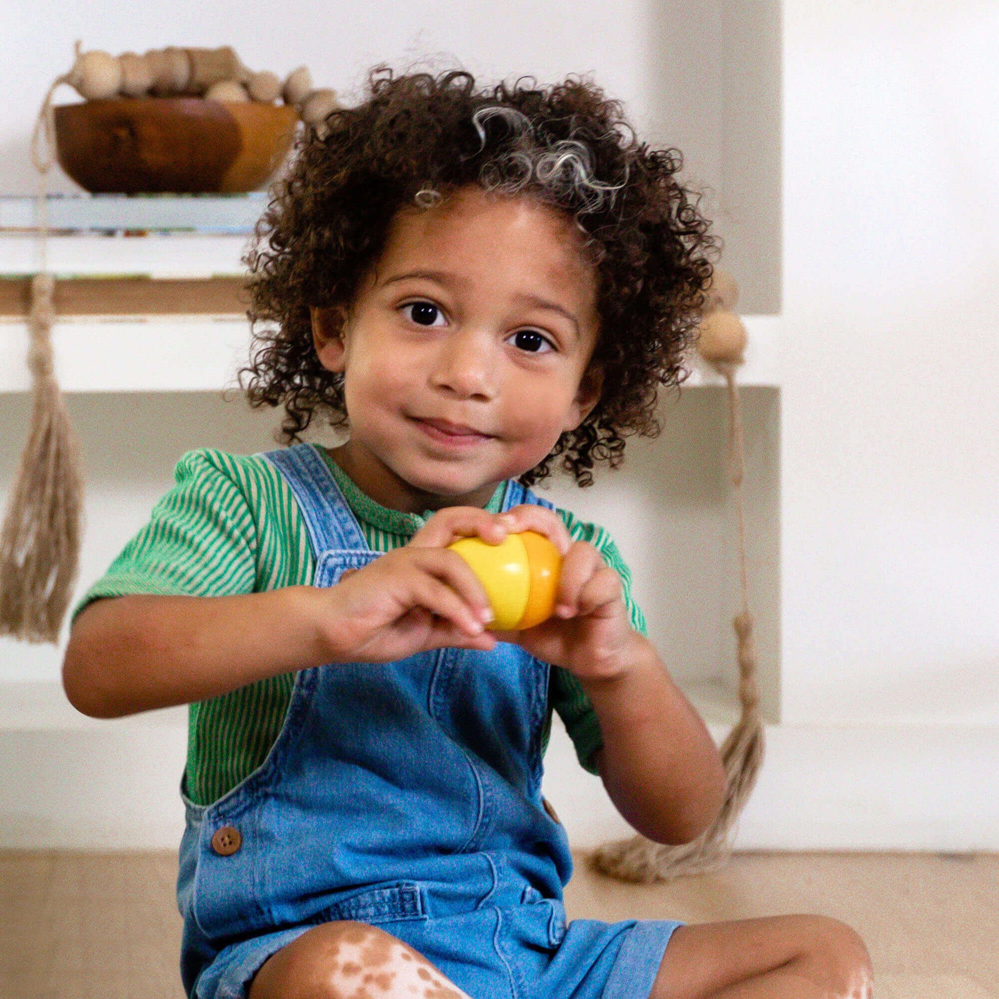 Fun with Sounds Wooden Eggs HABA USA